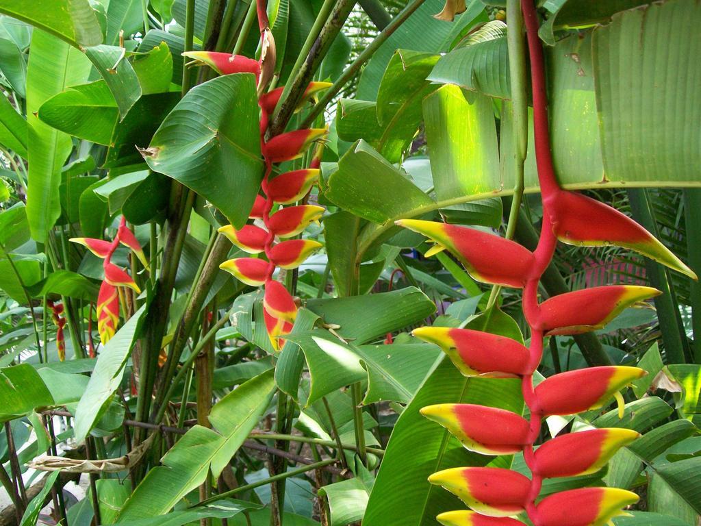 Posada El Jardin Ticul Luaran gambar