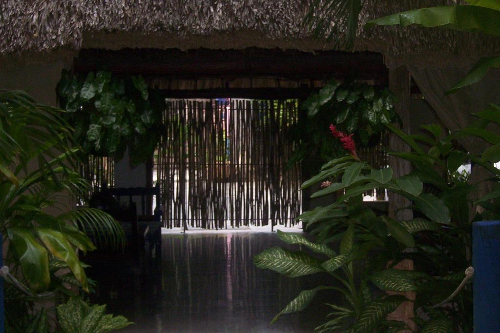Posada El Jardin Ticul Luaran gambar