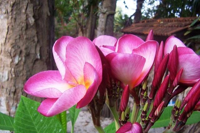 Posada El Jardin Ticul Luaran gambar
