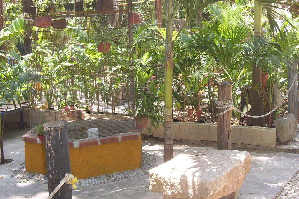 Posada El Jardin Ticul Luaran gambar